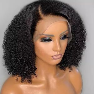 Kinky Curly Lace Front Wig